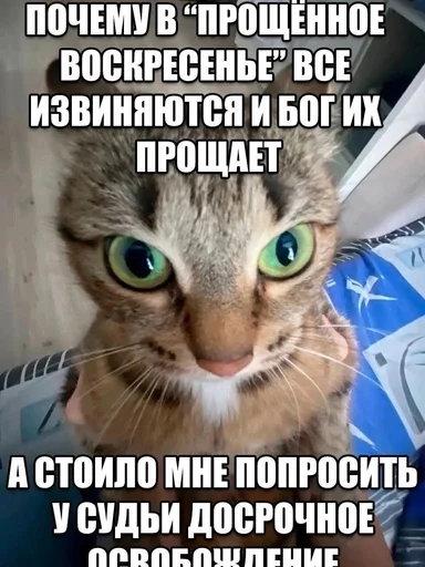 🌟 Стикер «Резонанс» для Telegram