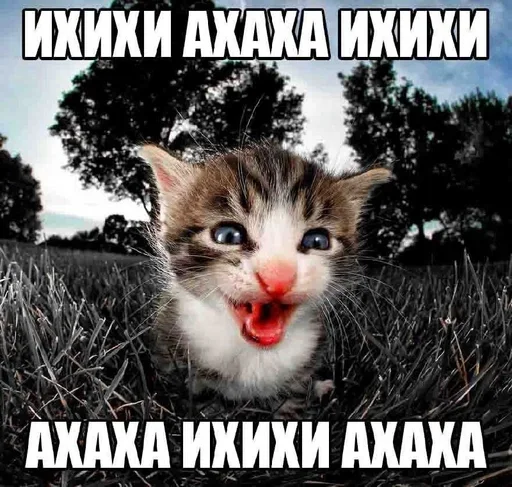 😂 Стикер «Резонанс» для Telegram