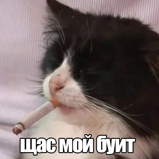 🚬 Стикер «Резонанс» для Telegram