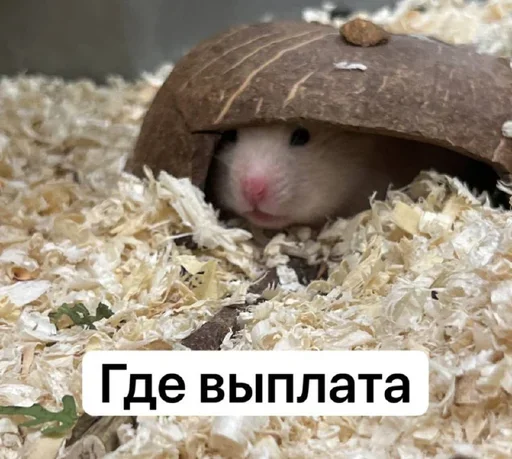 🤝 Стикер «Резонанс» для Telegram