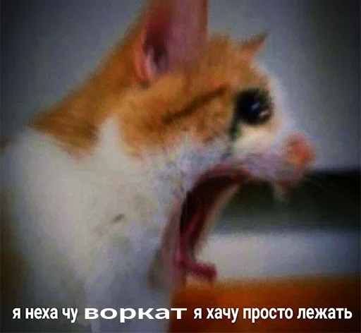 😭 Стикер «Резонанс» для Telegram