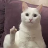 🤩 Эмодзи «» для Telegram