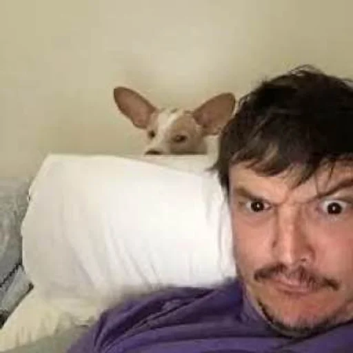 🤨 Стикер «Pedro Paskal» для Telegram