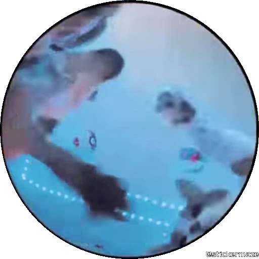 🥰 Стикер «PEDRO PEDRO pets» для Telegram
