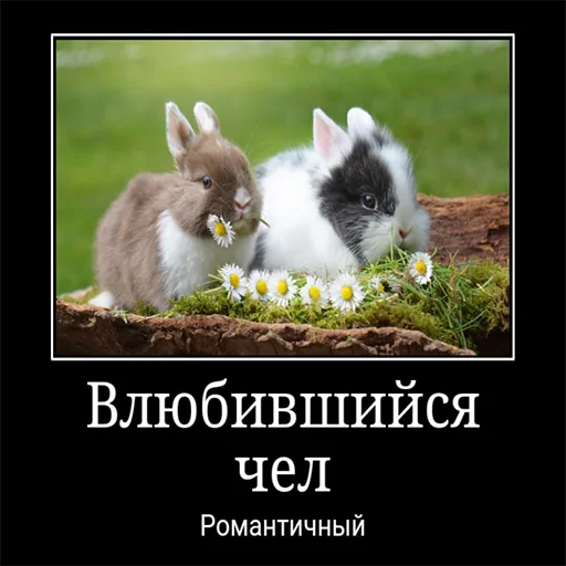 ❤️ Стикер «Чел» для Telegram
