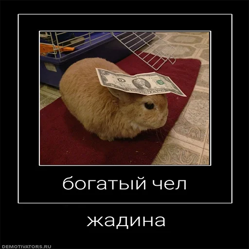Стикерпак Чел для Telegram