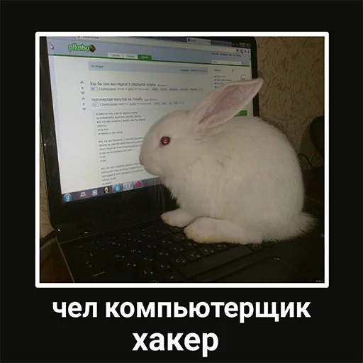 🤠 Стикер «Чел» для Telegram
