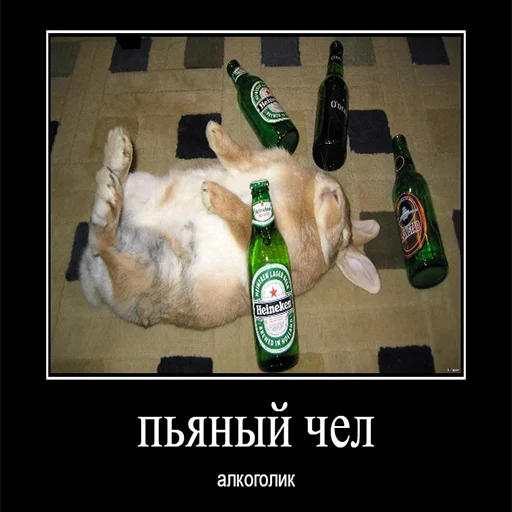 🥴 Стикер «Чел» для Telegram