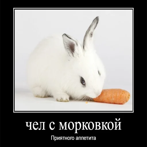🥕 Стикер «Чел» для Telegram