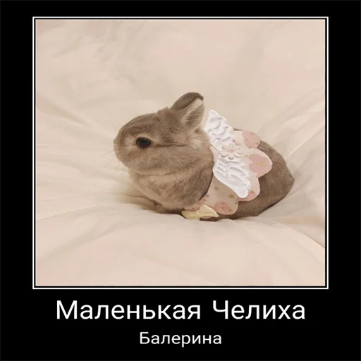 🩰 Стикер «Чел» для Telegram