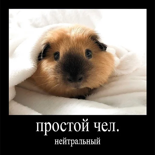 😇 Стикер «Чел» для Telegram