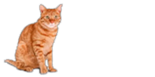 🐈 Стикер «Пипочатерский пак» для Telegram