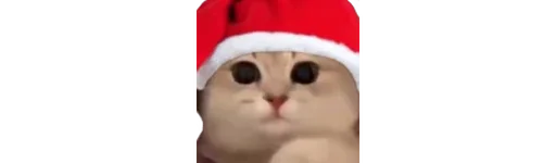😼 Стикер «peepoNewYear 7tv» для Telegram