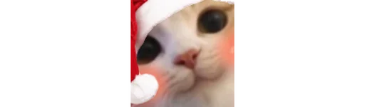 😻 Стикер «peepoNewYear 7tv» для Telegram