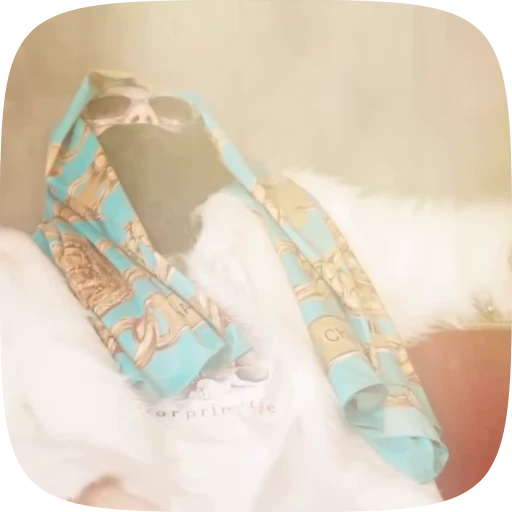 ⚰️ Стикер «Young PH» для Telegram