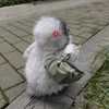 😠 Эмодзи «Penguins» для Telegram