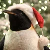 🎅 Эмодзи «Penguins» для Telegram