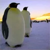 🧍 Эмодзи «Penguins» для Telegram
