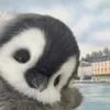 👋 Эмодзи «Penguins» для Telegram
