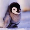 🐧 Эмодзи «Penguins» для Telegram