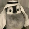 🧕 Эмодзи «Penguins» для Telegram