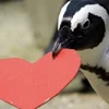 ❤️ Эмодзи «Penguins» для Telegram