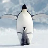 🐧 Эмодзи «Penguins» для Telegram