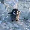🤏 Эмодзи «Penguins» для Telegram