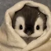 🥰 Эмодзи «Penguins» для Telegram
