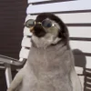 😎 Эмодзи «Penguins» для Telegram