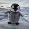 🙂 Эмодзи «Penguins» для Telegram