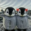 🎀 Эмодзи «Penguins» для Telegram