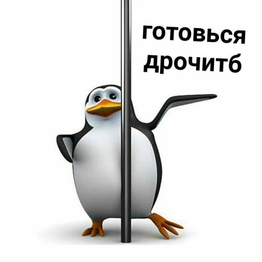 💦 Стикер «pengven» для Telegram