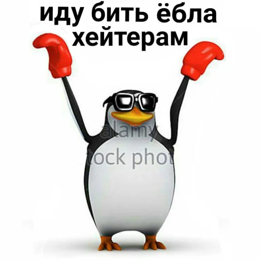 🥊 Стикер «pengven» для Telegram