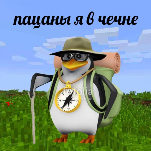 🏙 Стикер «pengven» для Telegram