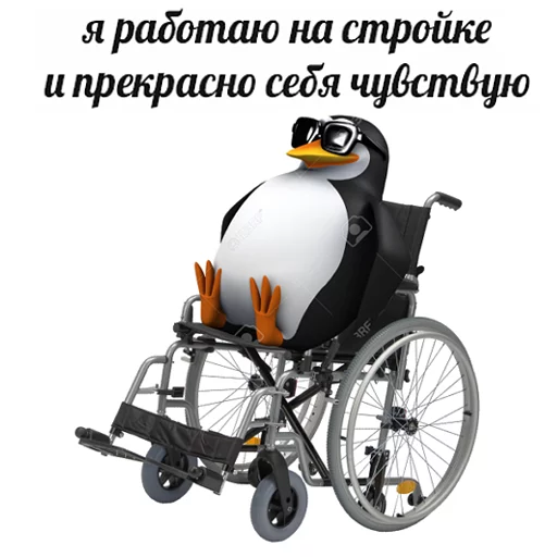 🏗 Стикер «pengven» для Telegram