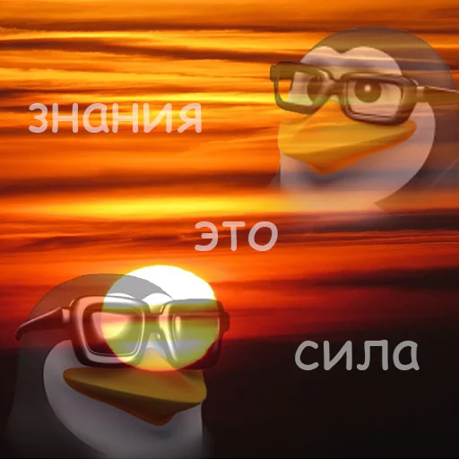 🌝 Стикер «pengven» для Telegram
