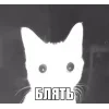 🤩 Эмодзи «̗̀Ｋｉｔｔｅｎｓ» для Telegram