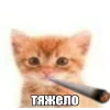 🤩 Эмодзи «̗̀Ｋｉｔｔｅｎｓ» для Telegram
