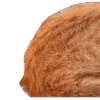 😅 Эмодзи «̗̀Ｋｉｔｔｅｎｓ» для Telegram