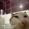 🤩 Эмодзи «̗̀Ｋｉｔｔｅｎｓ» для Telegram