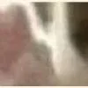 😁 Эмодзи «̗̀Ｋｉｔｔｅｎｓ» для Telegram