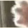 Эмодзи ̗̀Ｋｉｔｔｅｎｓ для Telegram — скачать