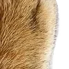 😅 Эмодзи «̗̀Ｋｉｔｔｅｎｓ» для Telegram