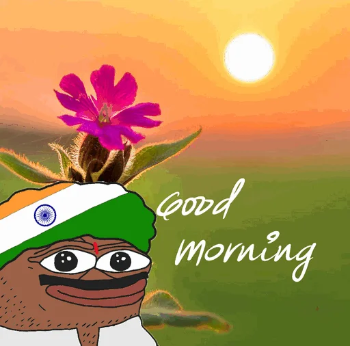 👳‍♂️ Стикер «pepepepack» для Telegram