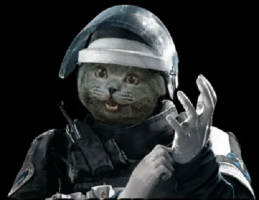 🐱 Стикер «Rainbow six» для Telegram