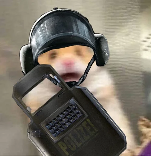 🐁 Стикер «Rainbow six» для Telegram