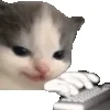 💬 Эмодзи «Pepe's Vibes» для Telegram
