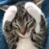 🙀 Эмодзи «Pepe's Vibes» для Telegram
