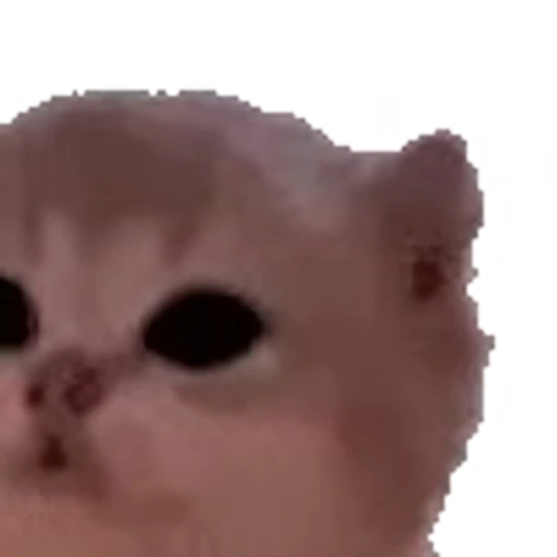 🐱 Эмодзи «Pepe's Vibes» для Telegram